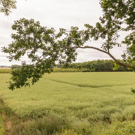 Holiday home Gite Gites De France - Le Mont-Ribourg