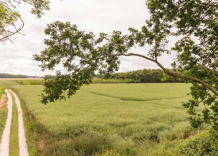 Holiday home Gite Gites De France - Le Mont-Ribourg